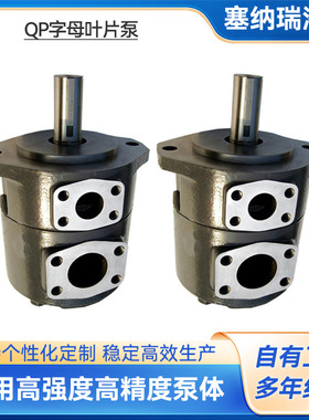 热销QP系列伺服叶片泵液压油泵 大流量低噪音子母叶片泵