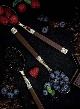 边集EDITOR意大利Rivadossi ROSSINI巧克力色餐刀餐叉餐勺黄油刀