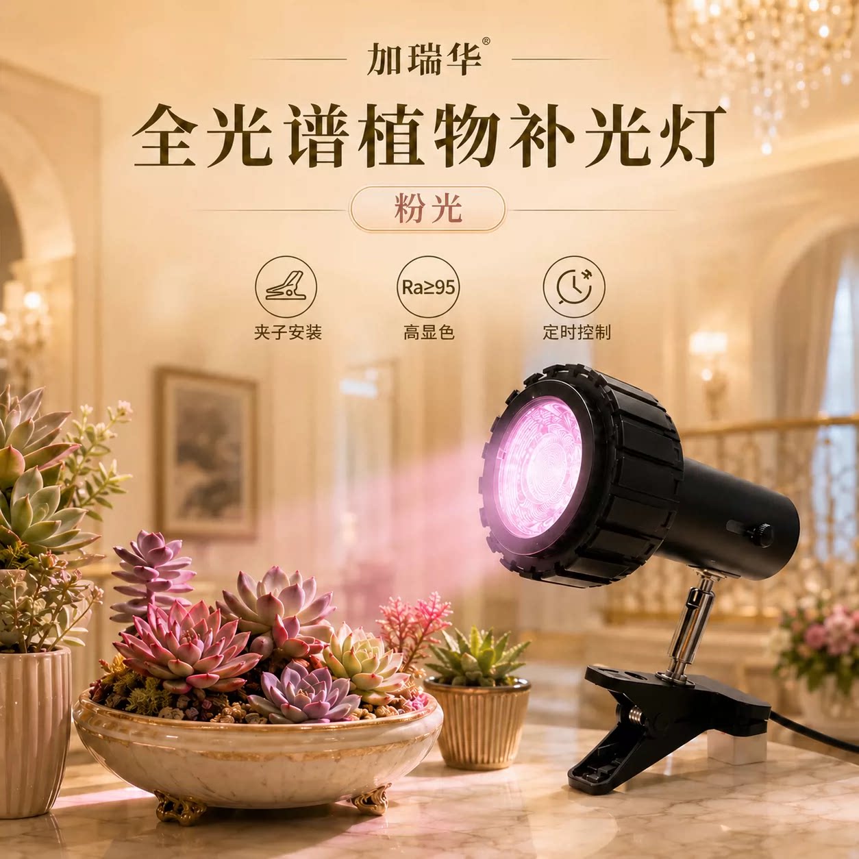 多肉植物生长灯法师十二卷唐印秀植物生长灯