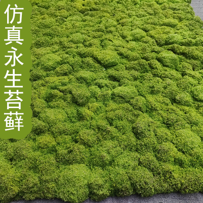 仿真永生苔藓大灰苔鹿角苔