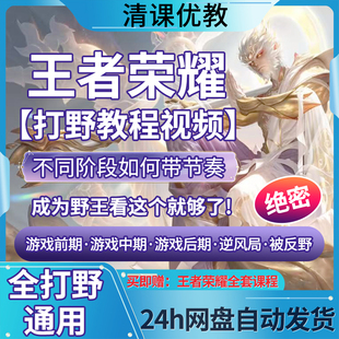 【梦泪看过】打野米饭醉意王者荣耀进阶节奏意识教学国服技术思路