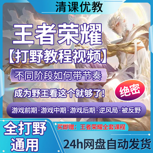 【梦泪看过】打野米饭醉意王者荣耀进阶节奏意识教学国服技术思路