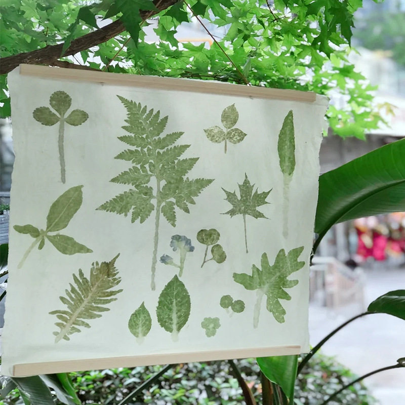 植物敲拓染材料包明矾幼儿园儿童拓印画布diy工具树叶套装t恤活动