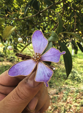 简约手工蚕丝绒花边夹时