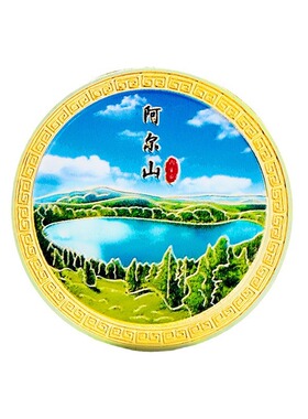 内蒙古城市建筑纪念币冰