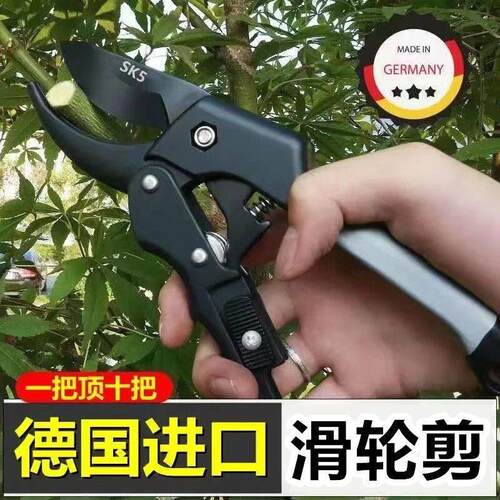德国品质进口SK5强力园艺剪园林花卉修枝剪树剪子果树剪刀