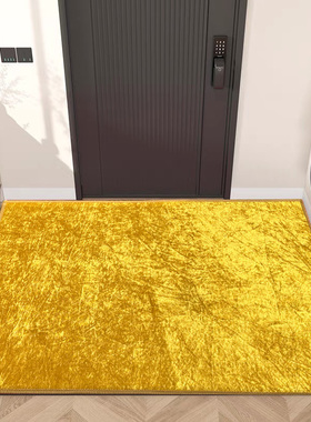 金黄色入户门垫招财进宝地垫土黄色客厅玄关地毯高档进门防滑脚垫