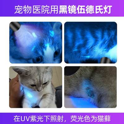 伍德氏灯猫藓灯照猫尿武德真菌手电筒紫光验钞抗原荧光剂检测专用