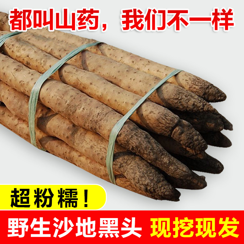 正宗沙地黑头山药河北新鲜比河南焦作铁杆怀山药特产淮山药粉干好