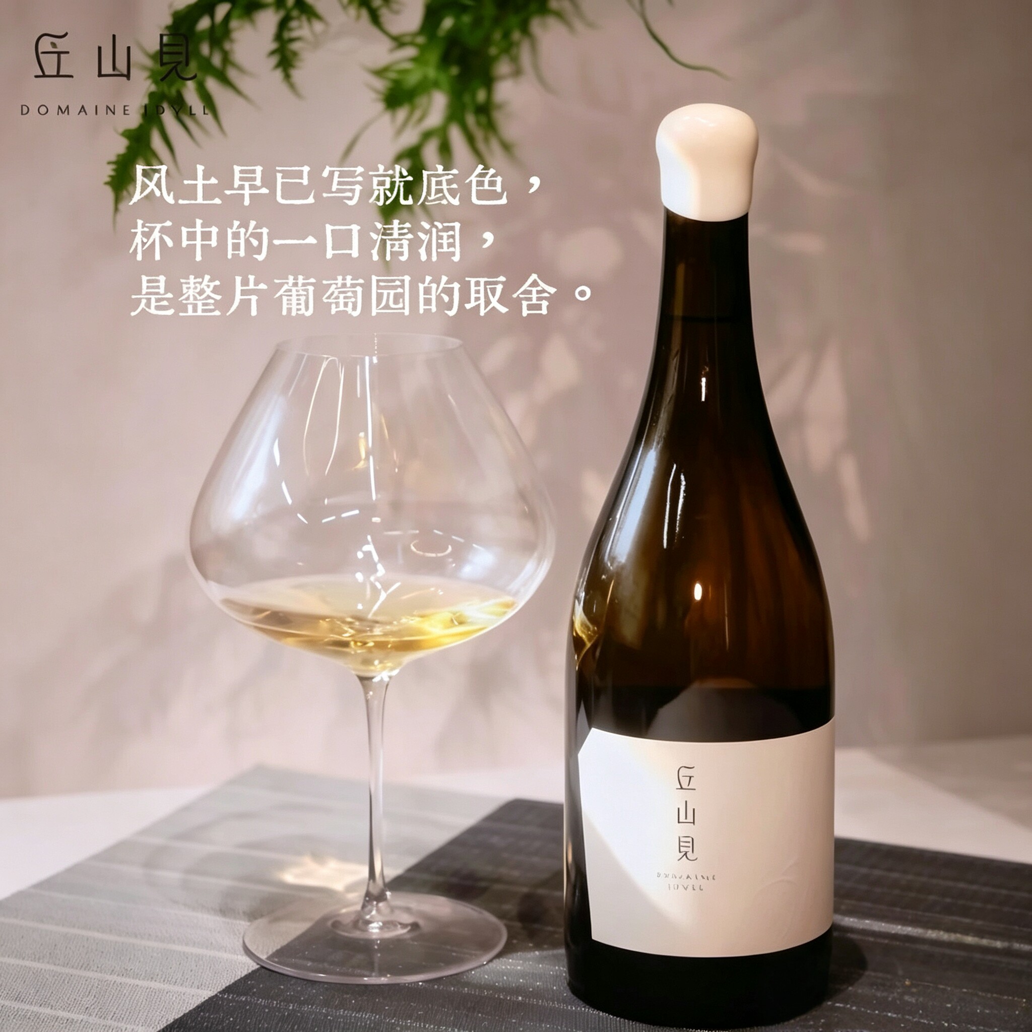 酩一团队打造 中国香格里拉梅里产区丘见山霞多丽干白葡萄酒750ml