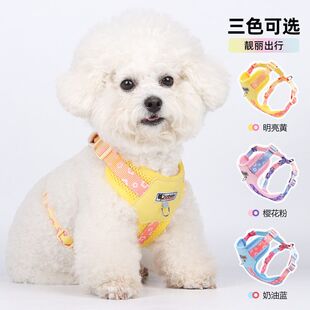狗狗牵引胸背带中小型犬多巴胺撞色狗胸背外出透气网布小狗牵引绳