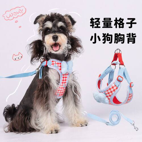 新款宠物牵引绳蝴蝶结狗狗胸背格子韩系小狗胸背带遛狗专用防爆冲