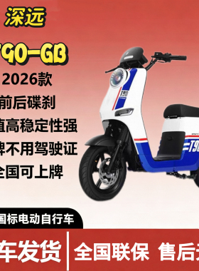 新新国标深远T90-GB经典国标版新国标锂电池电动车外卖版
