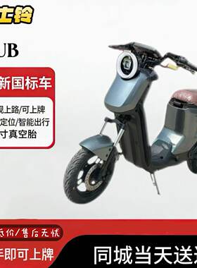 格士铃UB新新国标十寸电动自行车新国标