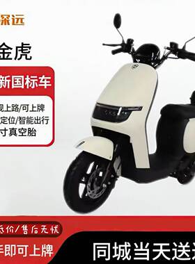 深远金虎新新国标蓝牙解锁锂电池家用外卖神车家用通勤可爱时尚车