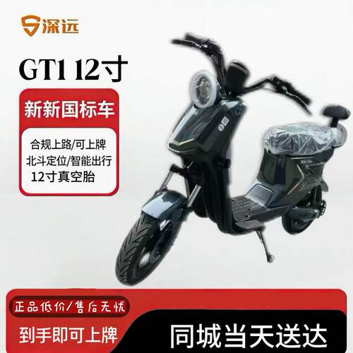 新新国标深远GT1-GB 12寸成人家用代步外卖智能电动车