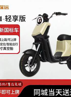 深远gt1-GB轻享版新国标电动车亲子代步电瓶车智能小牛同款高续航