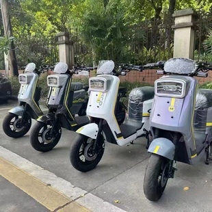 最新款奇迹牛A8新国标长续航10寸2024年新款成人外卖骑手专用