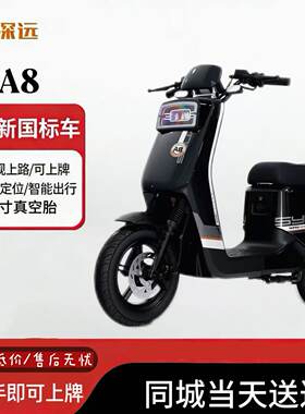新新国标深远A8-GB经典国标版新国标锂电池电动车外卖版