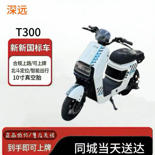 新国标深远T300-GB锂电电动车