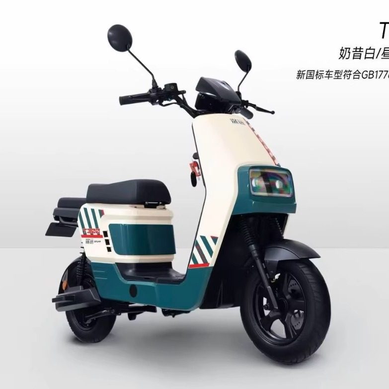 新新国标深远t300-GB经典国标版新国标锂电池电动车外卖版