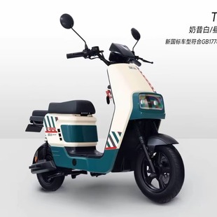 新国标锂电池电动车外卖版 国标版 GB经典 新新国标深远t300