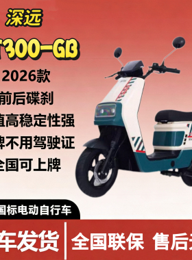 新新国标深远t300-GB经典国标版新国标锂电池电动车外卖版