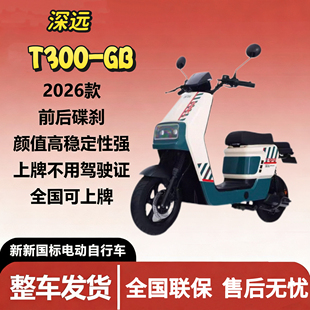 新新国标深远t300 国标版 新国标锂电池电动车外卖版 GB经典