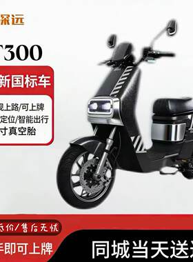 新新国标深远t300-GB经典国标版新国标锂电池电动车外卖版