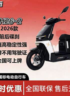深远新新国标H26-2电动自行车家用通勤外卖锂电池运动长途动力足