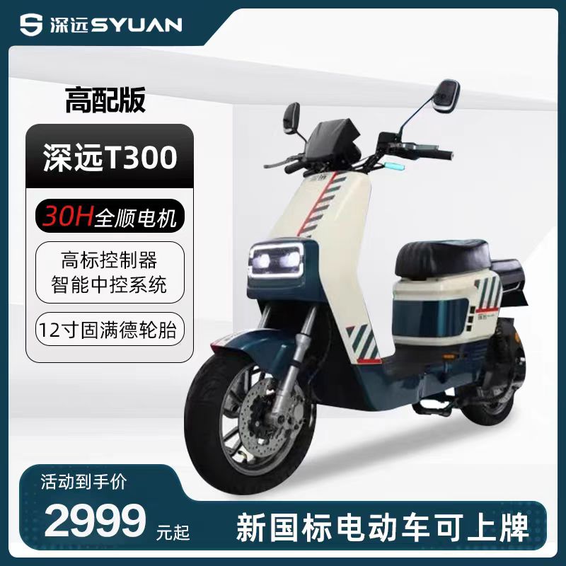 深远T300豪华版家用外面代步车锂电池新国标电动自行车旗舰高端车