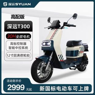 深远T300豪华版家用外面代步车锂电池新国标电动自行车旗舰高端车