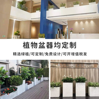 马槽植物盆景办公室前台组合盆栽花卉logo背景墙绿植组景定制套餐