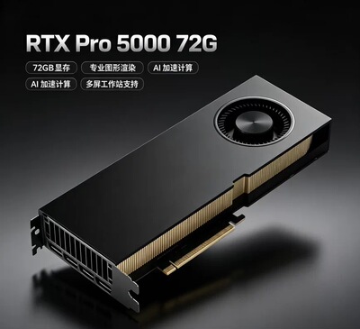 NVIDIA RTX Pro 5000 48G/72G 专业独显AI绘图视频渲染 Blackwell