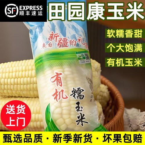 新疆田园康白糯玉米新鲜当季