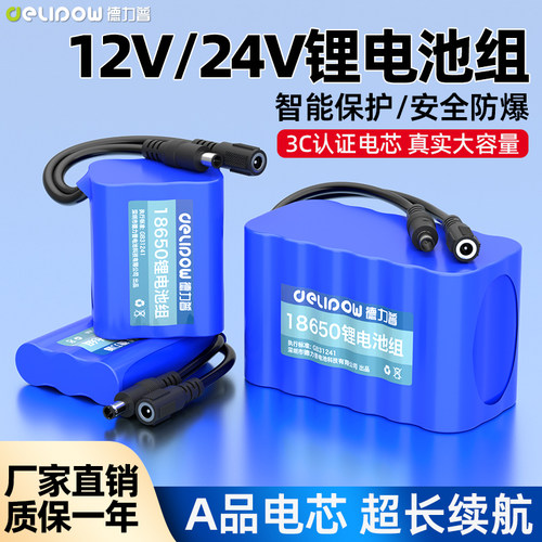 【3C认证】德力普12V24V锂电池组