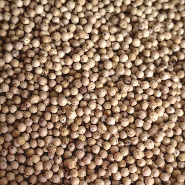 精选海南白胡椒颗粒饱满椒香浓郁天然日晒白胡椒粒调味品农家特产