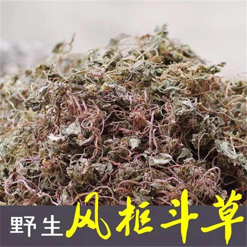 野生风谷草风柜斗草（药食同源）