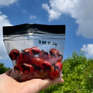 艾斯塔 食品保鲜袋密封袋食品储存收纳袋1L25个宜家国内代购