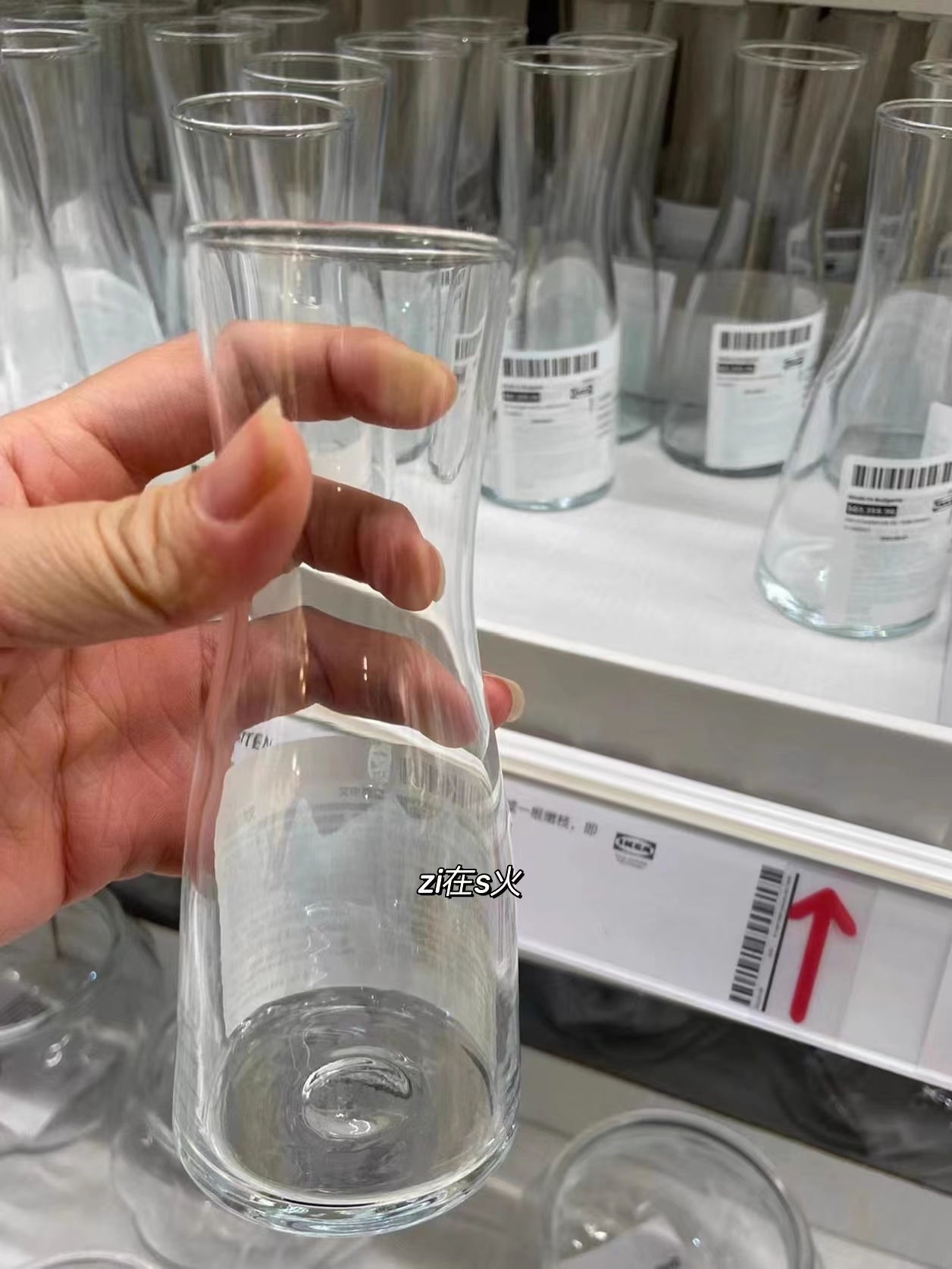 提瓦顿花瓶透明玻璃植物水培