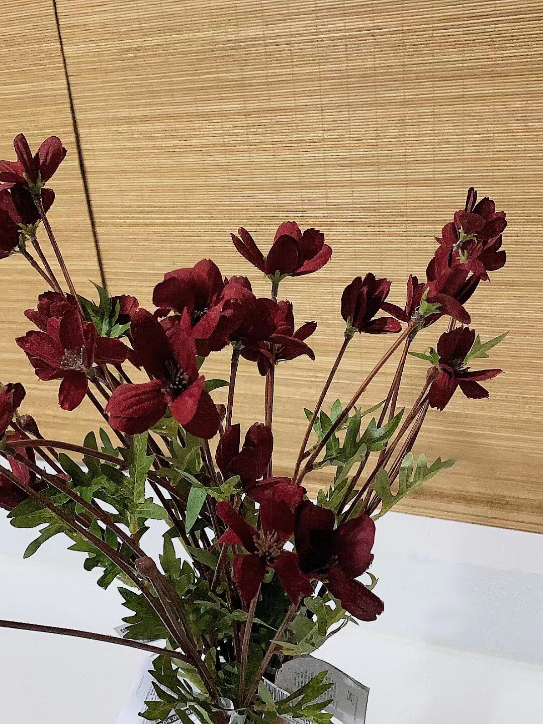 思米加 人造花假花装饰花波斯菊/深红色 1支65cm宜家国内代购