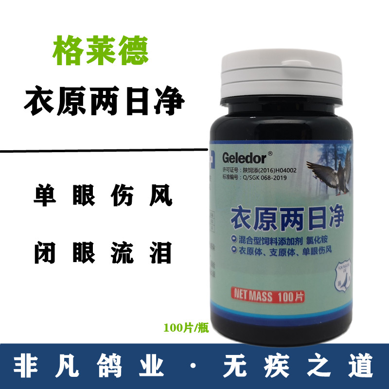 格莱德单眼伤风一滴灵衣原两日净鸽子眼睛流泪鹦鹉信鸽赛鸽白鸽子