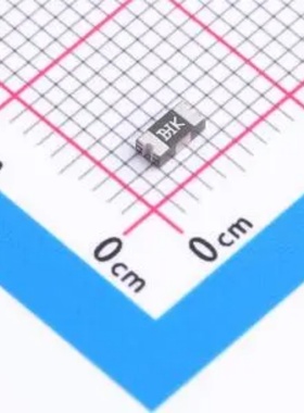 BSMD1206-200-16V 自恢复保险丝 16V 2A 1206 自恢复 封装 1206