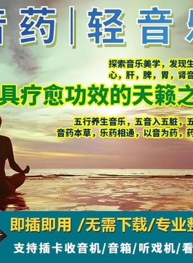五音养生经典轻音乐u盘舒缓心情中医助眠古琴琵琶笛子高音质MP3