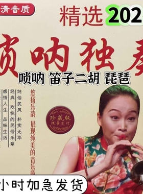 喜庆唢呐笛子二胡琵琶U盘吹奏曲欢快MP3民族乐曲音频唢呐独奏曲