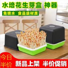 育种豆苗种植盘家用蓄水阳台豆芽机1