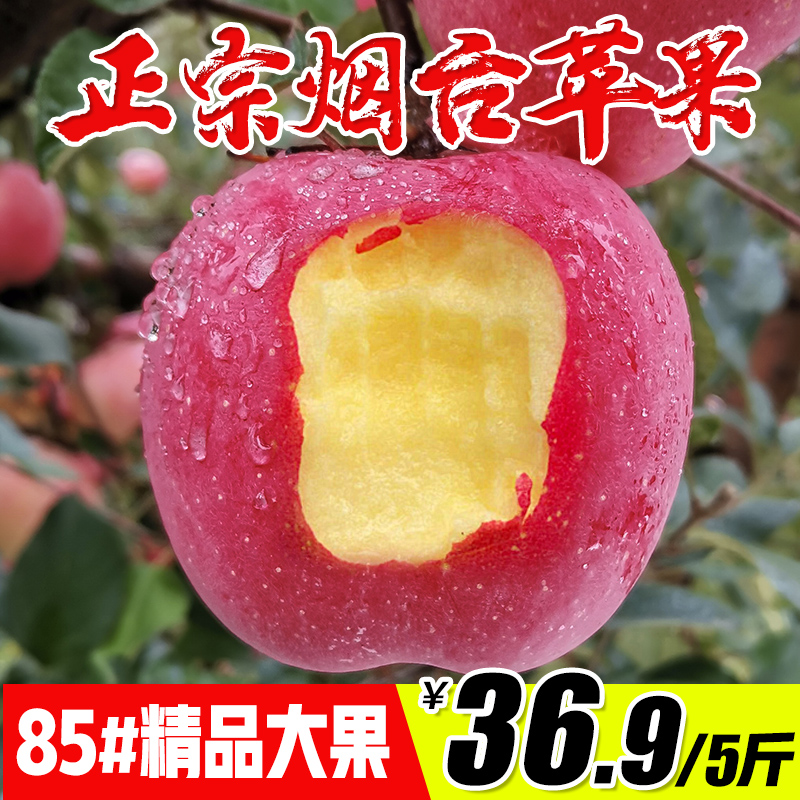 正宗煙台紅富士蘋果水果新鮮脆甜精品85大果山東棲霞蘋果水果5斤在類目 水產肉類/新鮮蔬果/熟食, 新鮮水果, 蘋果中 - 來自Buy2taobao.com提供專業的淘寶代購服務