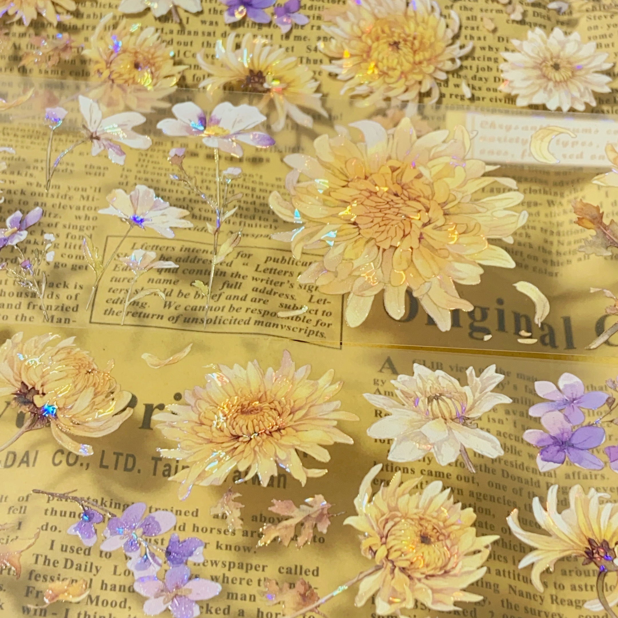 菊花密境.手账pet胶带黄菊花贝壳光造景咕卡流麻拼贴装饰素材整卷