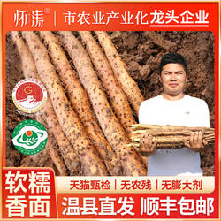 河南焦作温县铁棍山药垆土淮山药正宗怀山药官方旗舰店特产新鲜