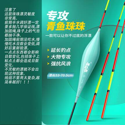 杨巨物Y70/Y55青鱼专用漂不过底漂珠珠行程漂纳米漂高灵敏青鱼漂